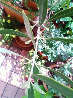 2010-04-26 13:48:56