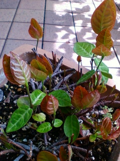 2010-04-26 13:48:56