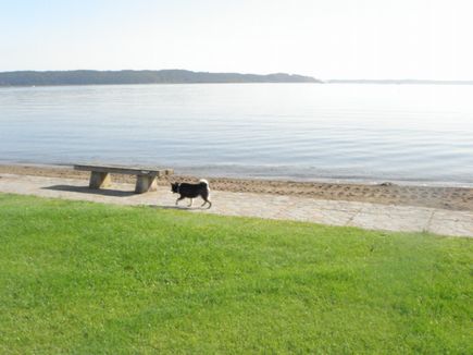 湖の公園