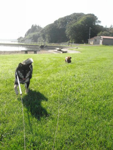 湖の公園