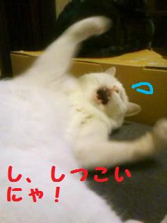 100405_2316~02.jpg