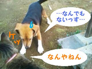 100402_1533~12.jpg