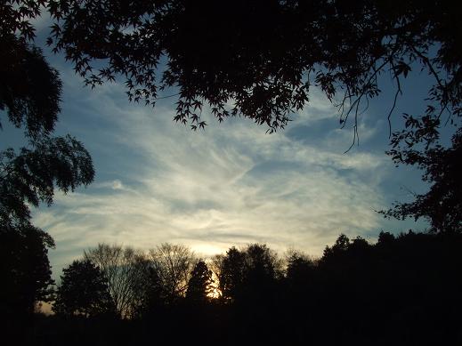 DSCF8747.JPG