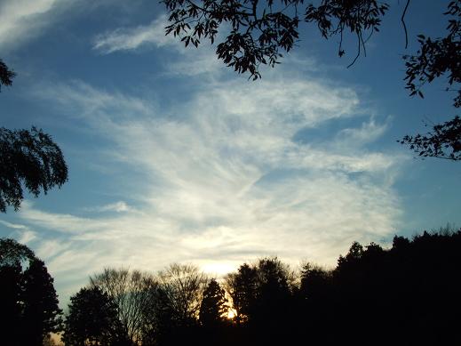 DSCF8748.JPG