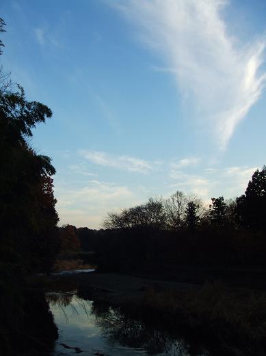 DSCF8753.JPG