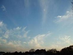DSCF8772.JPG
