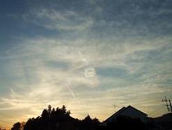 DSCF8774.JPG