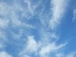DSCF8662.JPG