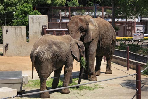 とべ動物園06-02