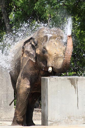 とべ動物園06-05