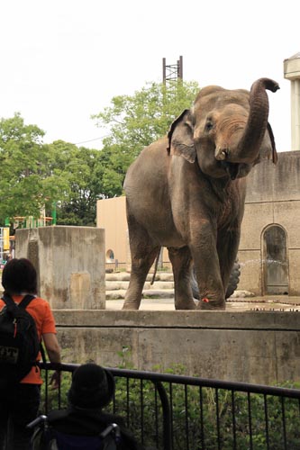 とべ動物園06-06