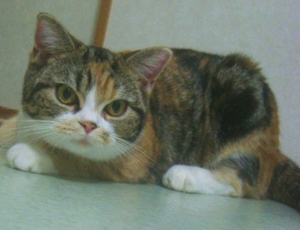 20090816074011[1].jpg