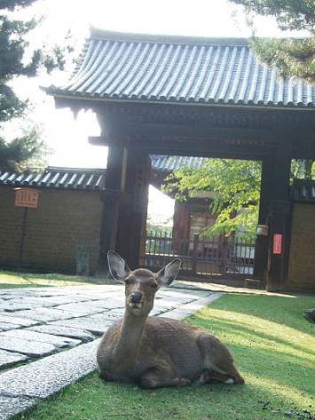 nara08.JPG