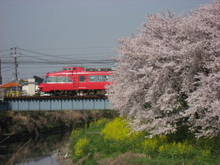 7000系　パノラマカー