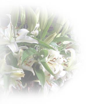 p14_1.jpg
