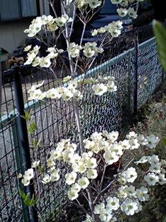 080415_1545~0001.jpg