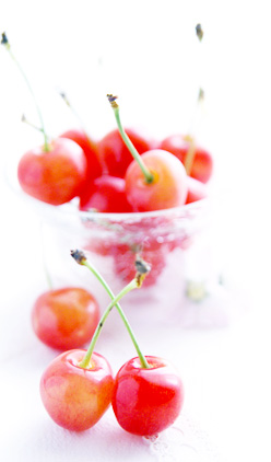 cherry07.jpg