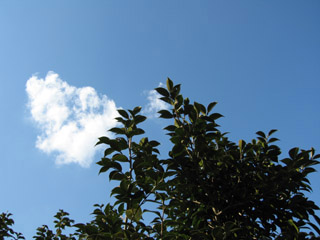 sky_f02.jpg