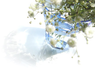 bg01.jpg