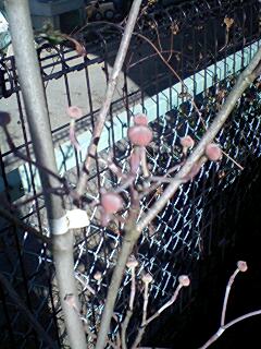 071122_0943~0001.jpg
