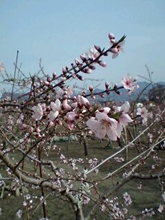 080405_1528~0001.jpg