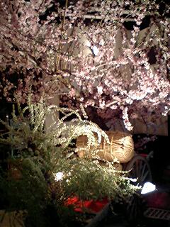 080419_1941~0001.jpg