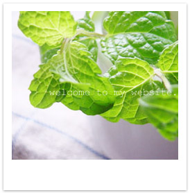 p_mint2.jpg