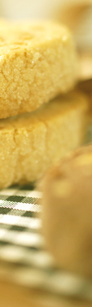f01.jpg