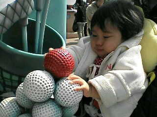ディズニーランド４