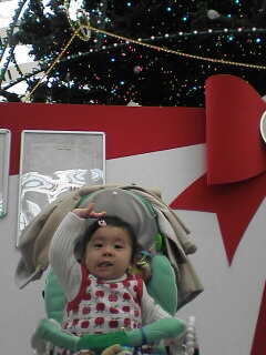 シンギングツリー