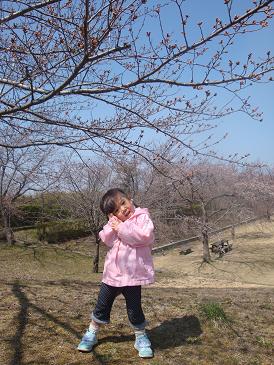 チビたん336 開花前の桜の前で.JPG