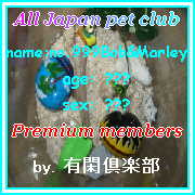 ボブ＆マーリー