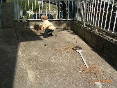 お掃除お手伝い