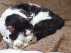 DSCF5516.JPG