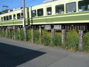 505214