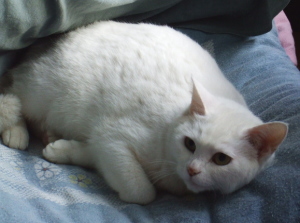 200805031.jpg