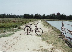 ルンビニーで借りた自転車