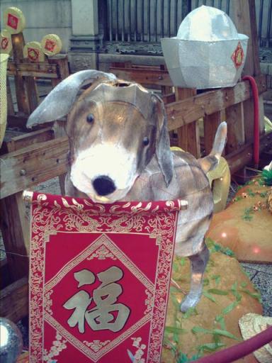 龍山寺　犬のランタン