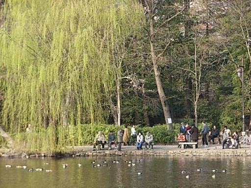 公園の昼下がり