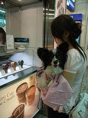 GODIVA　外観３