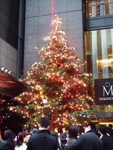 2006クリスマスツリーin銀座ミキモト
