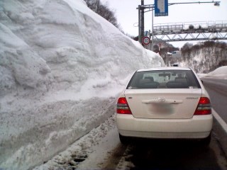 車の倍はありますね