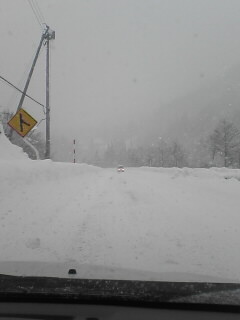 さらに強くなってきました＿?￣|○