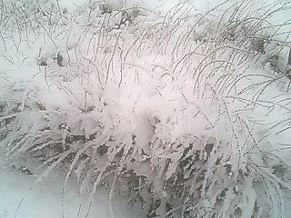 雪の芸術