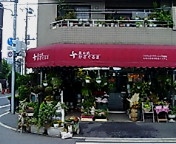 20051103かざぐるま