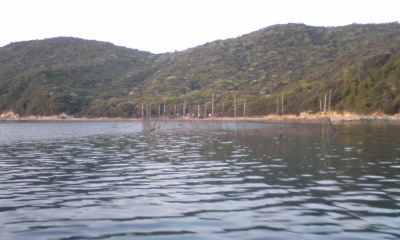 日生　つぼあみ