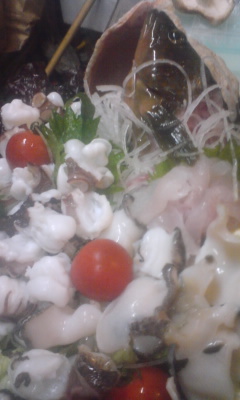 たこ　造り100505