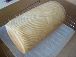 プレーンメッシュ