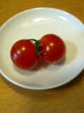 9月25日ミニトマト３
