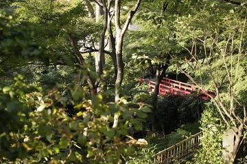 スピリアル塾橋♪